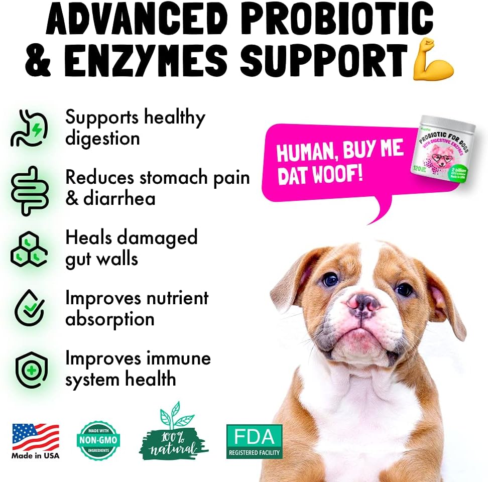 Probiotics for Dogs Natural Digestive Enzymes Prebiotics for Allergy Itch Relief Gut Flora Coprophagia Bowel Support Treatment Anti Diarrhea for Dogs Pet Health Immune System Support 30 Soft Chews