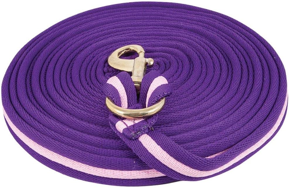 Dura-Tech Cushion Lunge Line for Horses | Stable Use & Horse Training | Horse Lunge Line with Snap | Durable Horse Lead Rope | 30 Foot Length | Replaceable Brass Snap
