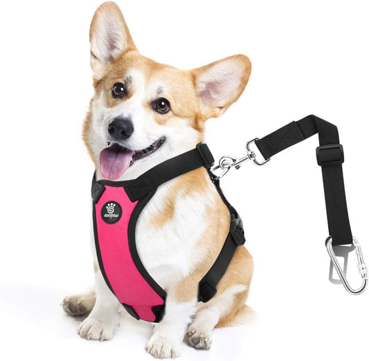 Dog Seat Belt, Safety Vest Dog Car Harness with Adjustable Buckle Dog Seat Belt for Vehicle Nylon Pet Safety Seat Belts Heavy Duty(S, Magenta)