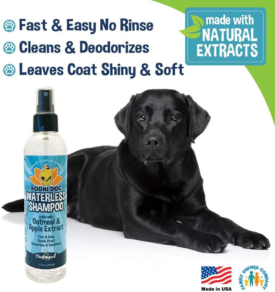 Bodhi Dog Waterless Shampoo - Natural Dry Shampoo for Dogs & Cats - Neutralizes Pet Odor - No Rinse Required - Made of Natural Extracts - Safe for Sensitive Skin - Oatmeal & Apple (8 Fl Oz)
