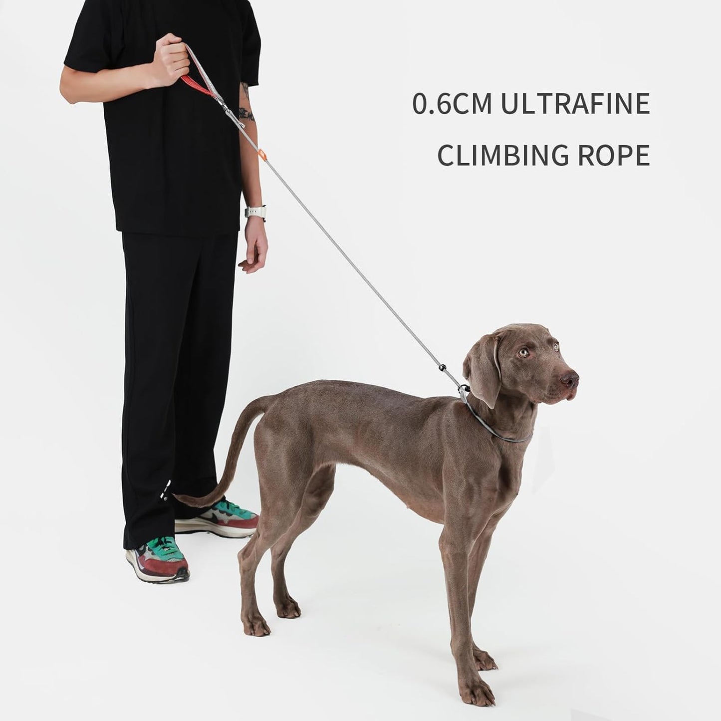 Dog Anti-Slip Leash 5FT with Metal Stopper - Durable No-Pull Training Lead for Small, Medium & Large Dogs - Comfortable Handle Nylon Rope, Tangle-Free Pet Walking Leash (Gray, 5.6FT)