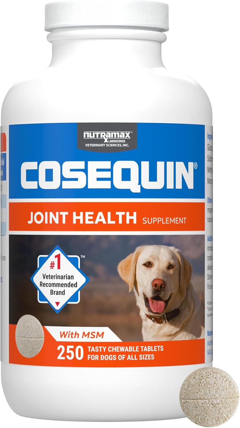 Nutramax Cosequin for Dogs Joint Health Supplement, Contains Glucosamine for Dogs, Plus Chondroitin and MSM, Supports Healthy Joints, Chewable Tablets, 250 Count