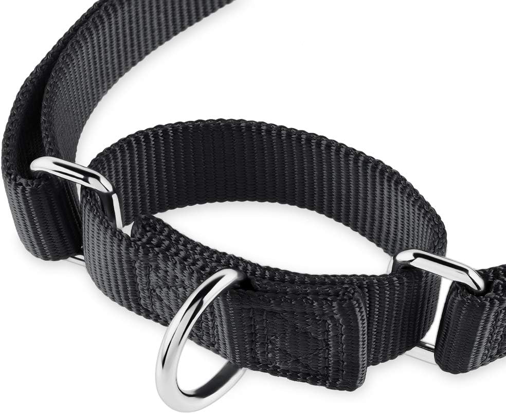 Hyhug Martingale Dog Collar Without Buckle: Anti Escape, No Slip Heavy - Duty Nylon, Colorfast & Adjustable for Medium Breeds(Medium, Black)