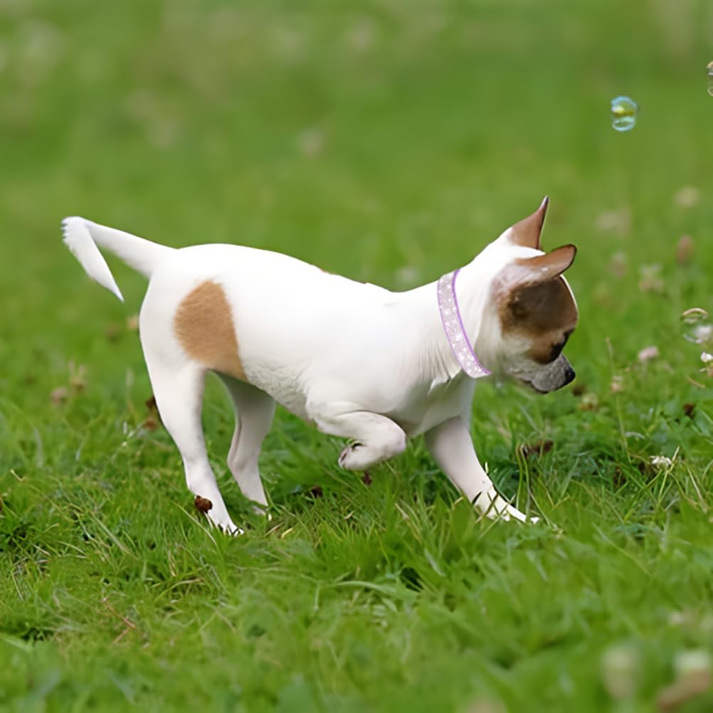 Rhinestone Dog Collar for Small Dogs, Bling Diamond Fancy Crystal Glitter Pretty Jewel Pet Puppy Collars for XXS XS Small Medium Large Breed Girl Dogs Female Cats Kitten, Purple S