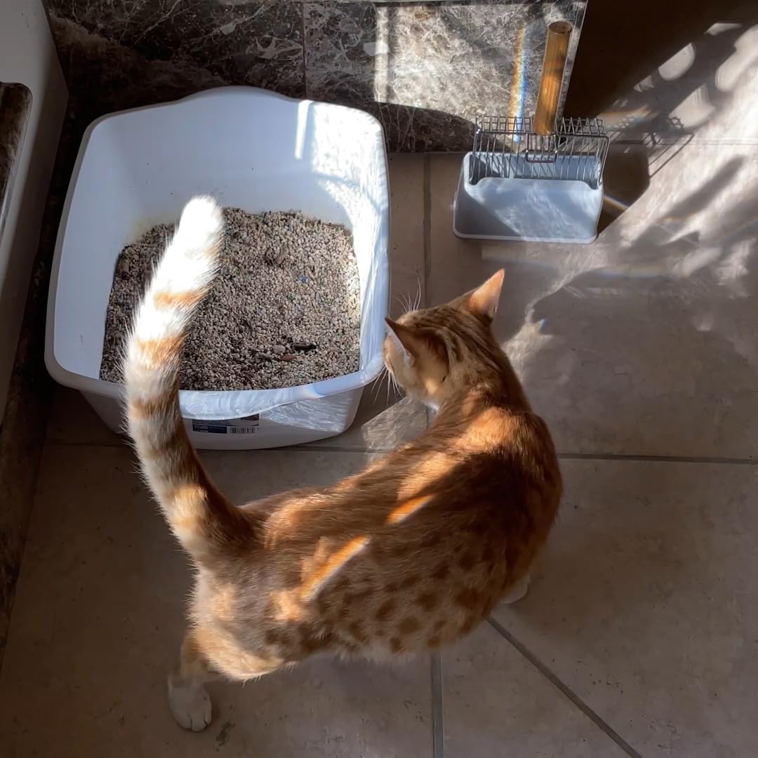 UFECODO Fast Sifting Cat Litter Scoop with Holder Stand, Stainless Steel Poop Scooper with Ergonomic Wood Handle, Heavy Duty and Easy Clean