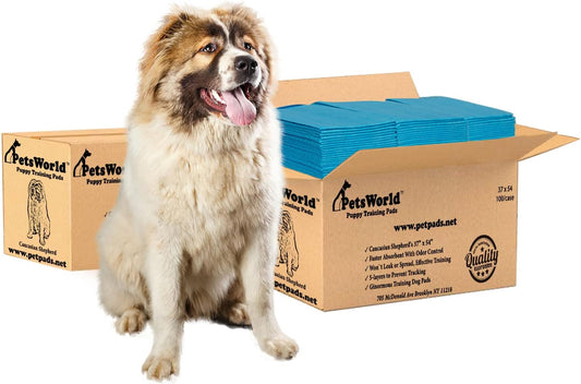 PETSWORLD Enormous Dog Training & Potty Pads, 37x54 inch - Tear Resistant with Strong Leak-Proof Backing, Optional Adhesive Tape, 200 Count