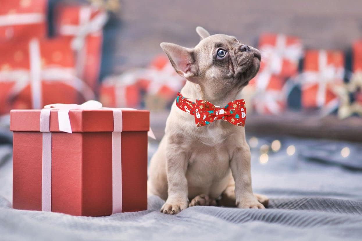 Lionet Paws Christmas Dog Collar with Bowtie, Dog Bowtie Collar with Metal Buckle for Dogs, Adjustable Comfortable Dog Collar Girl Boy Gift, XL, Neck 16-26 in