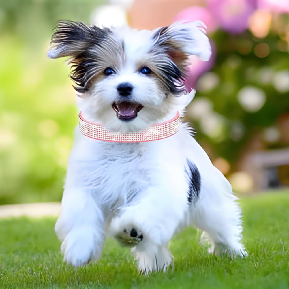 Rhinestone Dog Collar for Small Dogs, Bling Diamond Fancy Crystal Glitter Pretty Jewel Pet Puppy Collars for XXS XS Small Medium Large Breed Girl Dogs Female Cats Kitten, Colorful Hot Pink XXSmall