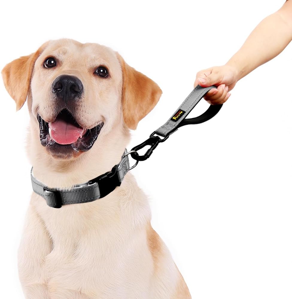 PLUTUS PET Short Dog Leash, Reflective Nylon Padded Handle, Strong Traffic Leash with Carabiner Clip, Perfect for Large or Medium Dogs (10”，Gray)
