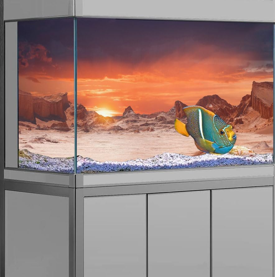 72X16IN Sun and Desert Moon Themed Reptile Habitat on Orange Durable Decorative Background, Terrarium Background with 10EVA Double-Sided Tape