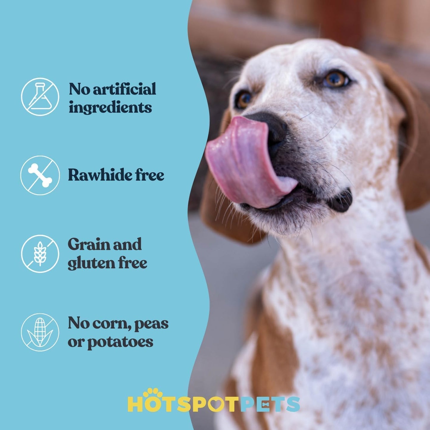 hotspot pets Freeze Dried Salmon Skin Chips for Cats & Dogs - Reasealable 1lb Big Bag Single Ingredient All Natural Omega 3 Benefits, Salmon Chips - Perfect for Training, Topper or Snack