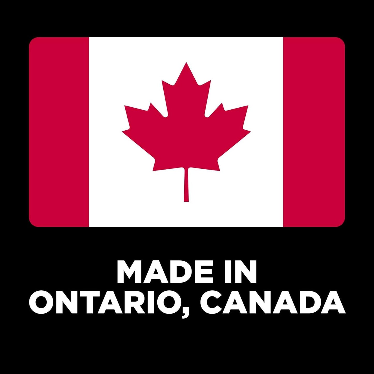 Go! Solutions Skin + Coat Care, Dry Dog Food, Large Breed Adult Salmon Recipe with Grains, 25 lb Bag