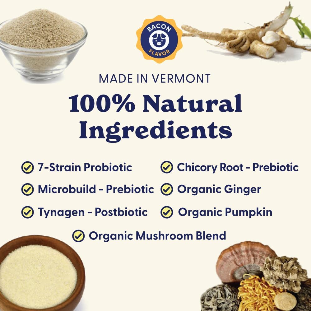 Origin Labs Belly Buddies - Probiotics for Dogs - Prebiotics & Probiotics - Supports Gut, Skin, and Immune Health - 5 Billion CFUs 7 Strain Probiotic Blend - Natural Bacon Flavor, 90 Soft Chews