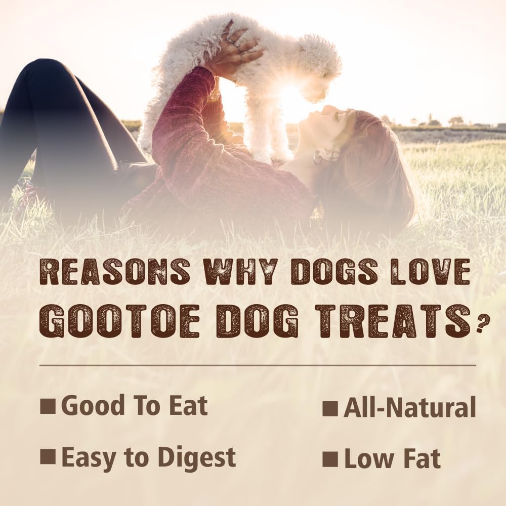 Gootoe Chicken Breast Strips 1 lb, Dog Treats, All Natural, Grain-Free, High-Protein, Healthy & Easily Digestible, Soft Texture