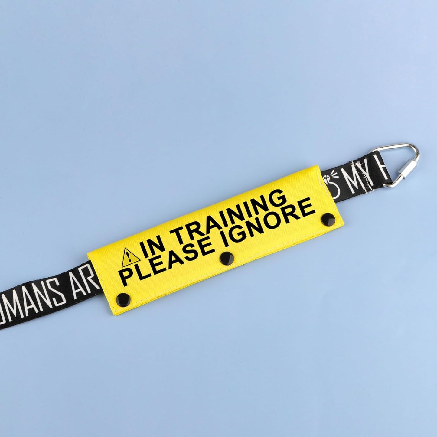 Funny Dog Leash Sleeve in Training Please Ignore Dog Leash Wrap Sleeve Alert Tag Pet Birthday Gift (Training Please Ignore-YE Sleeve)