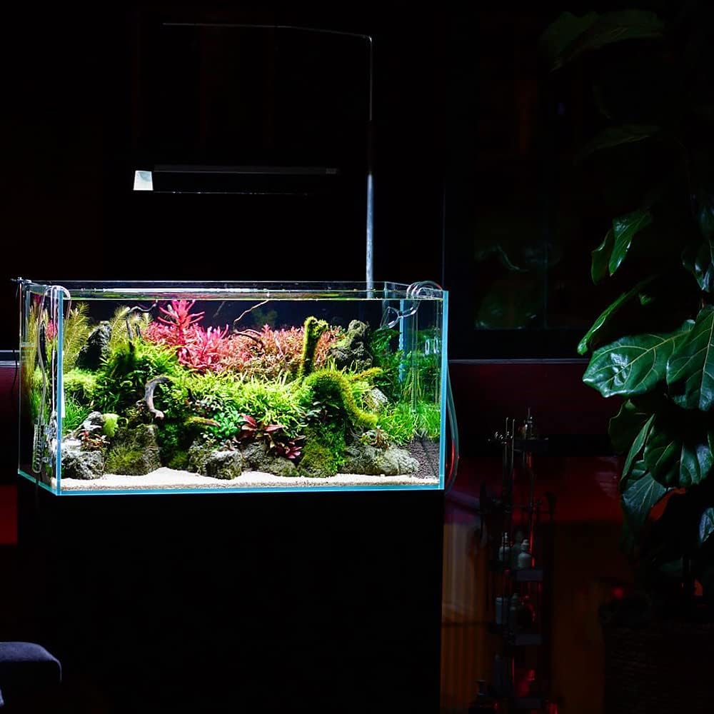 SubstrateSource Live Aquarium Red Stem Plants - Freshwater Aquatic Plant for Fish Tanks, Aquascaping - (Rotala Wallichii, 4 Bunches)