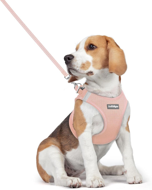 rabbitgoo Dog Harness Small Medium Sized and Leash Set, Step in Soft Light Puppy Vest, Breathable Mesh Pet Harness, Reflective for Safe Outdoor Walking, Pink L