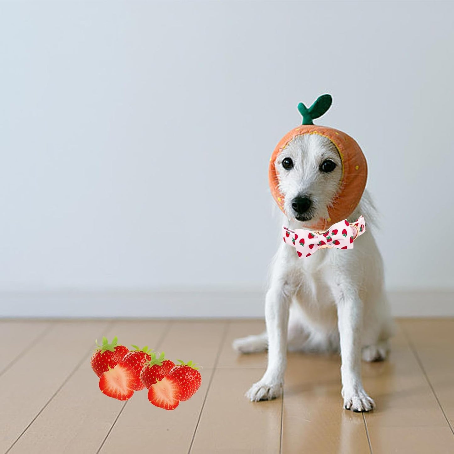 Elegant little tail Dog Collar, Strawberries Print Pet Collar Summer Dog Collar Durable Metal Buckle Dog Collars Cotton Pet Adjustable Dog Collars for X-Small Dogs