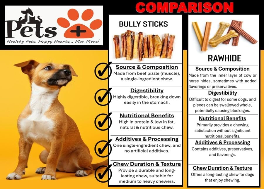 Pets Plus Premium Bart's Bully Sticks for Dogs – 6 Inch, Medium Size, All-Natural, Long-Lasting Chews for Moderate Chewers – High Protein, Low Odor, Grain-Free (10-Pack)