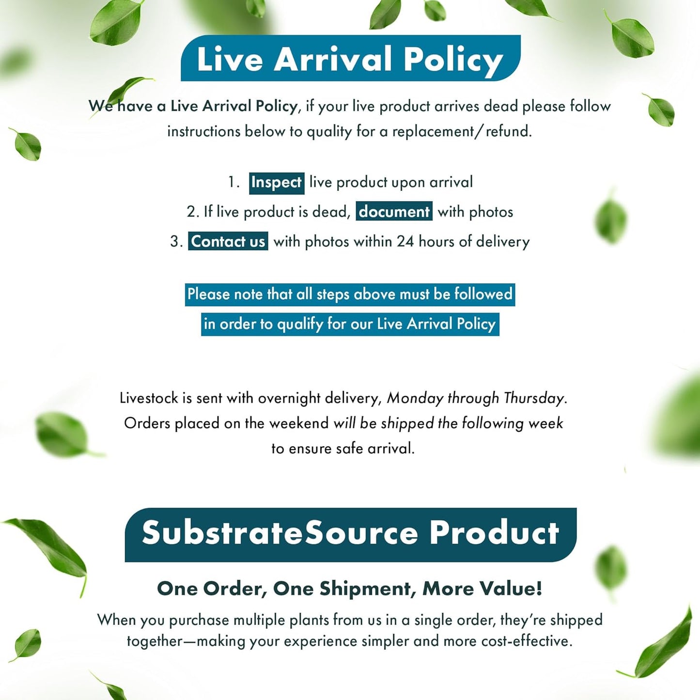 SubstrateSource Live Aquarium Stem Plants - Freshwater Aquatic Plant for Fish Tanks, Aquascaping - (Hydrocotyle Verticillata, 1 Bunch)