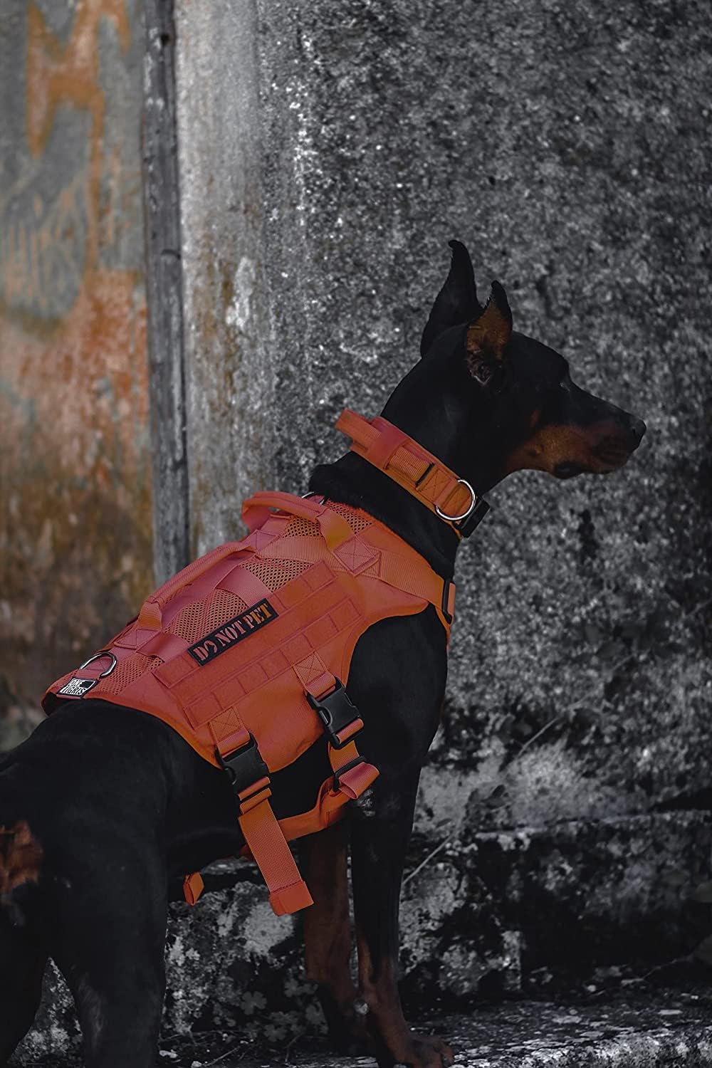 OneTigris No Pull Tactical Dog Harness for Large Dog, Mesh Design Breathable Service Dog Vest with Handle, Military Dog Vest Harness with Molle Panels for Walking Hiking Training (Orange, Large)