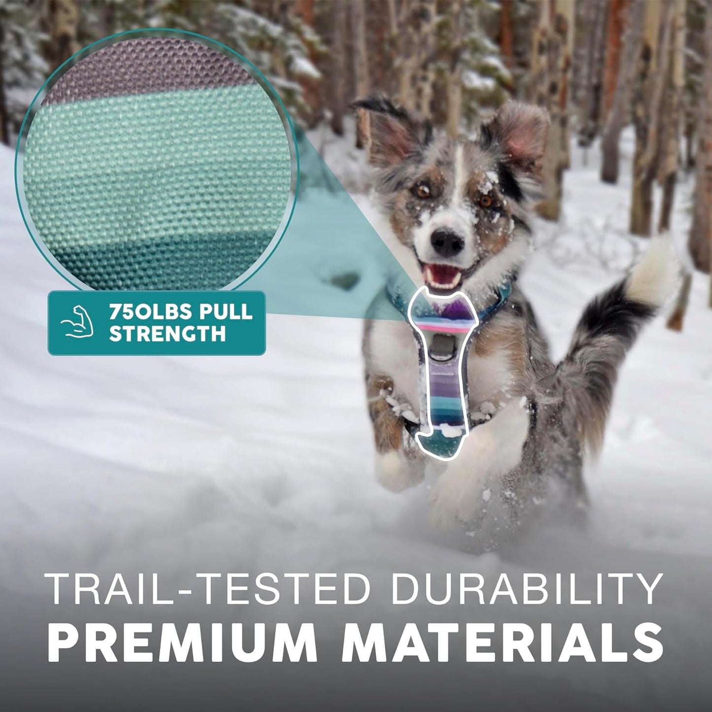 Embark Adventure Dog Harness, Reflective Trim XL Dog Harness for Extra Large Dogs No Pull - Military Grade Nylon, 2 Leash Clips & Gel Lined Handle. Soft & Padded Puppy Dog Harnesses for Any Breed