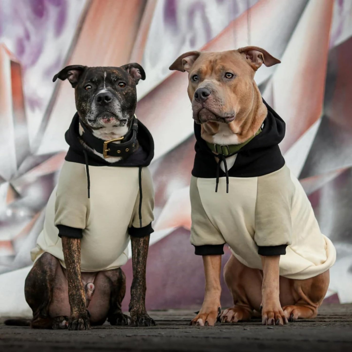 Spark Paws Dog Hoodie – Premium Dog Sweater for Small, Medium, and Large Dogs | Warm Outfits for French Bulldogs, Pitbull, Puppy, Winter Jacket Alternative - Olive Cream - XL