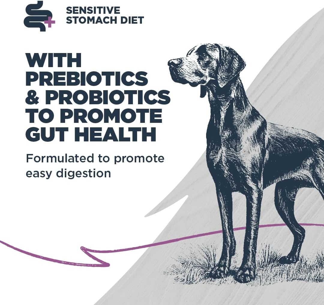 Blackwood Sensitive Skin & Stomach Dry Dog Food, Salmon Meal & Brown Rice with Ancient Grains, 4.5 Pound Bag with Prebiotics & Probiotics to Promote Gut Health