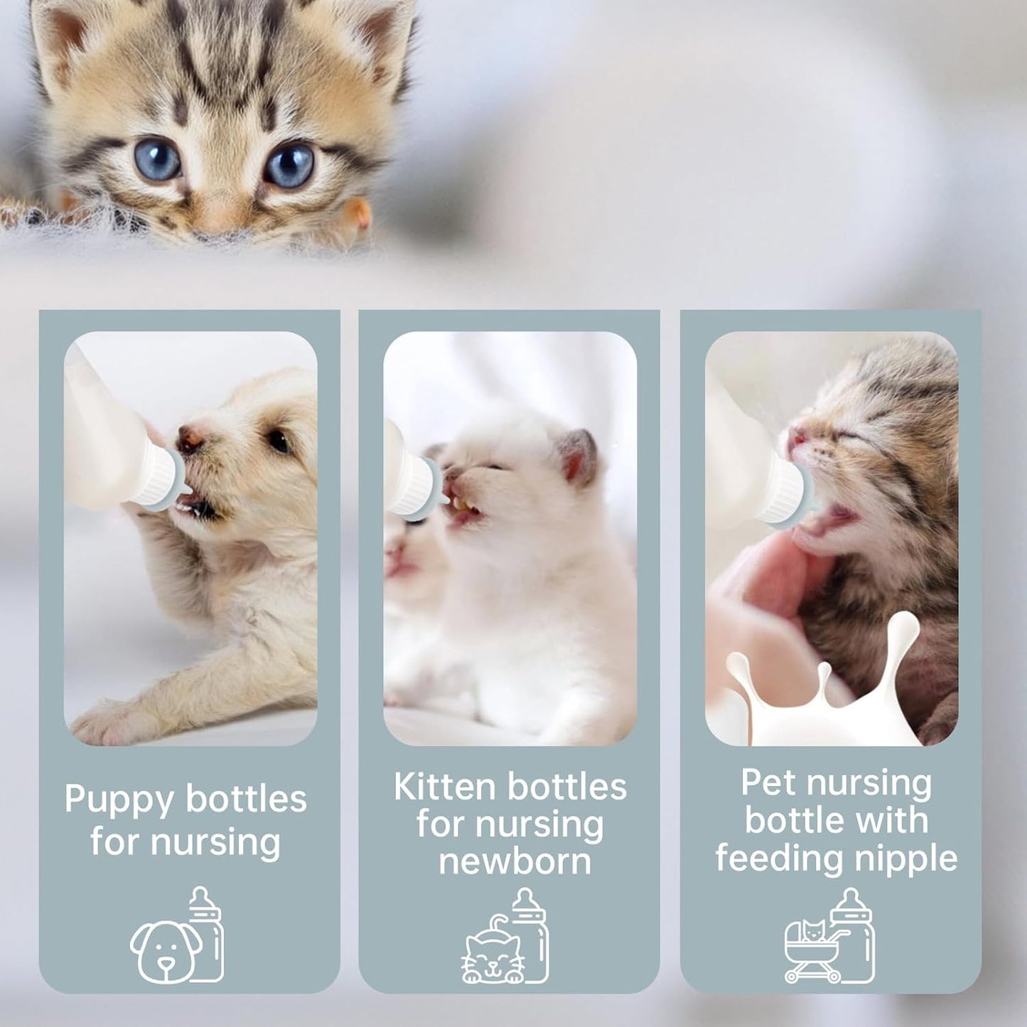 5Pack Kitten Bottle for Nursing Puppy Milk Kitten Bottles Feeding Kit Silicone Nipple for Newborn Pets Kittens, Puppy,Squirrel (Grey)