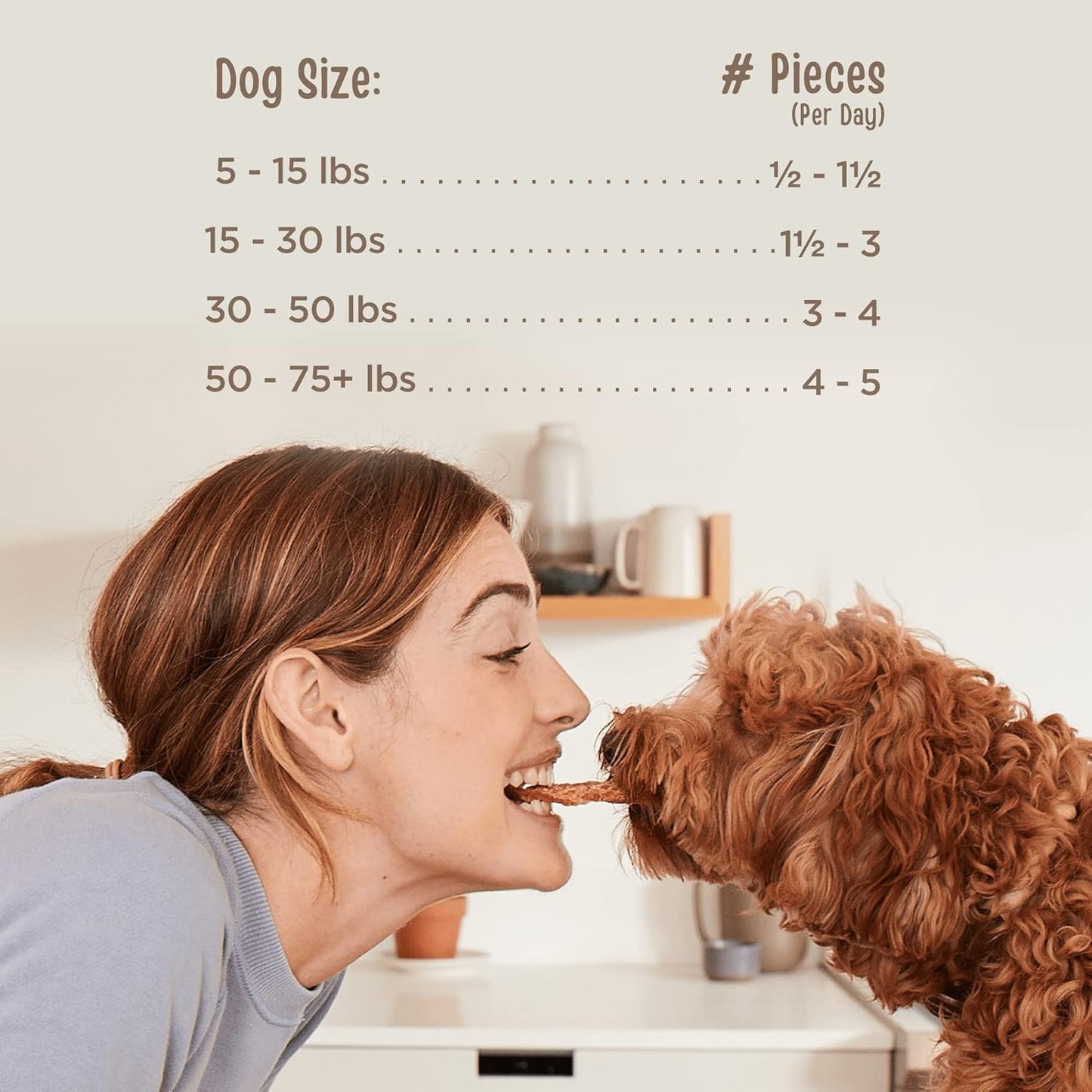 Full Moon All Natural Human Grade Dog Treats, Essential Beef Savory Sticks, 22 Ounce, 1.375 Pound (Pack of 2)