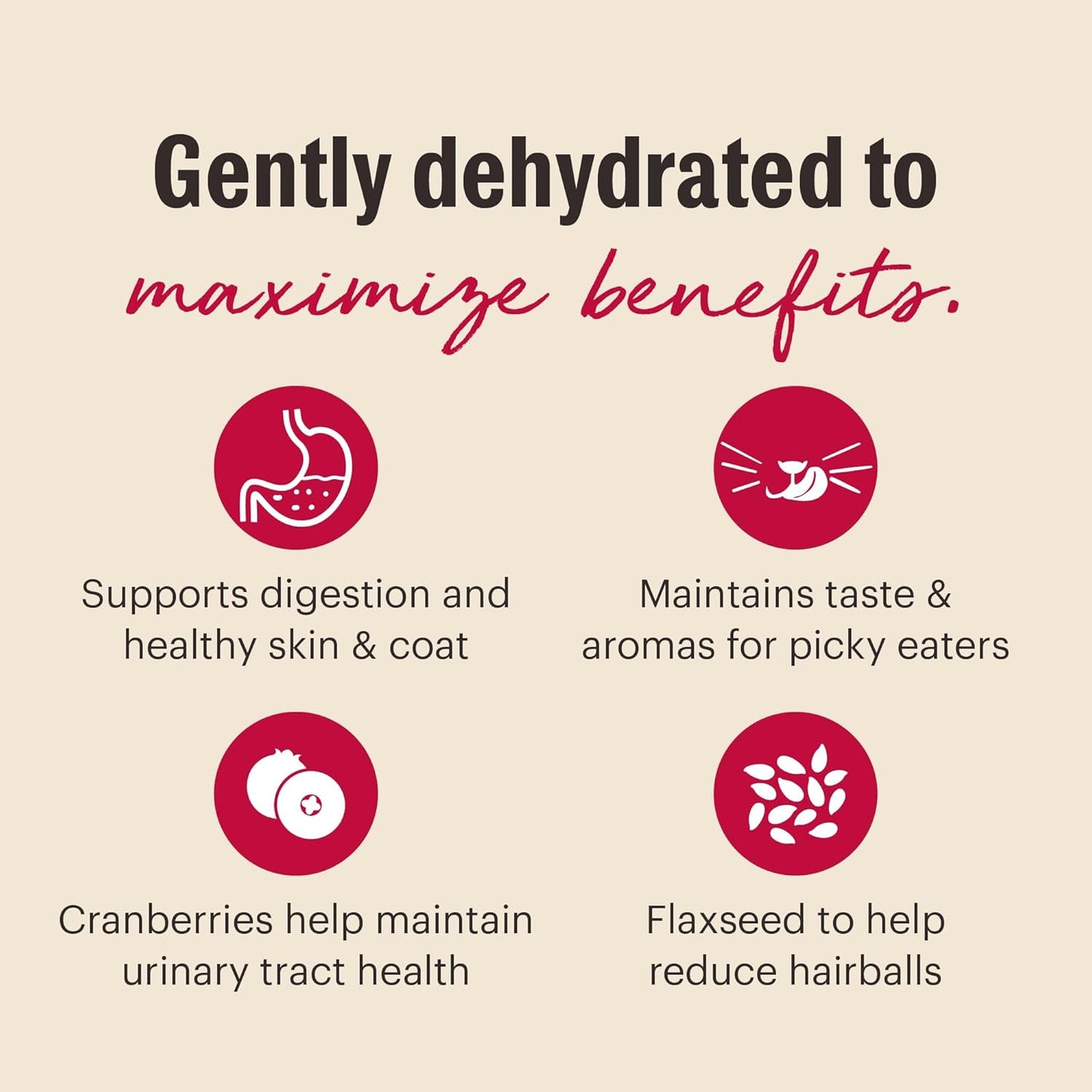 The Honest Kitchen Dehydrated Grain Free Chicken & Fish Cat Food, 2 lb Box