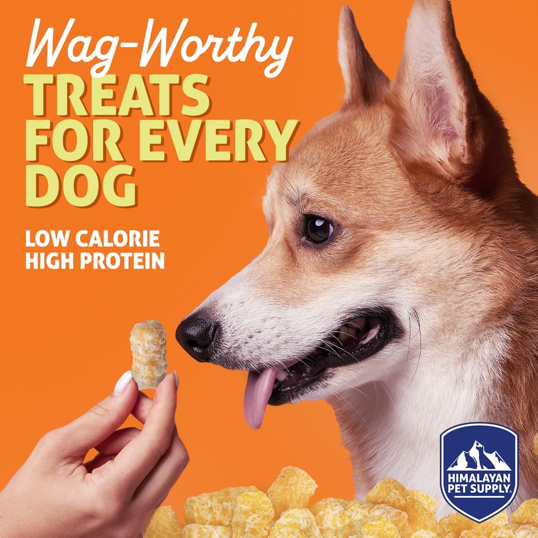 Barkeetos Dog Treats, Crunchy and Cheesy Pet Snacks Made with Real Himalayan Cheese and Bacon, Gluten Free, Grain Free, Lactose Free, Natural Dog Food for All Breeds and Sizes