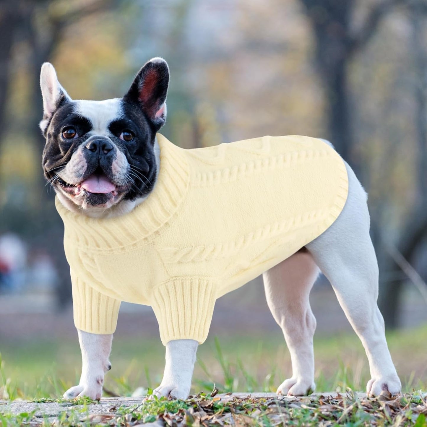 Queenmore Dog Sweater Large Size,Warm Dog Sweaters for Big Dogs,Chunky Knitted Doggy Sweater for Extra Large Dogs Boy Girl, Big Doggie Turtleneck Winter Outfit (White,2XL)