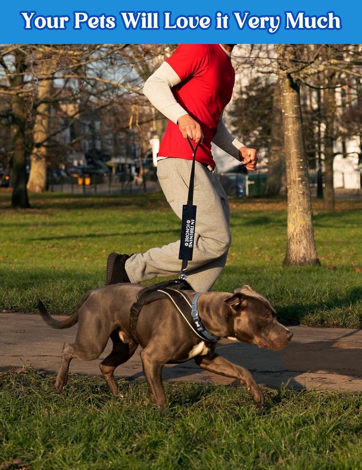 in Training Ignore Dog Leash Sleeve, Funny Yellow Dog Leash Wrap Alert Hanging ID Patch Tag, in Training Leash Wrap Service Dog Leash Wrap Pet Birthday Gifts for Dog Owners