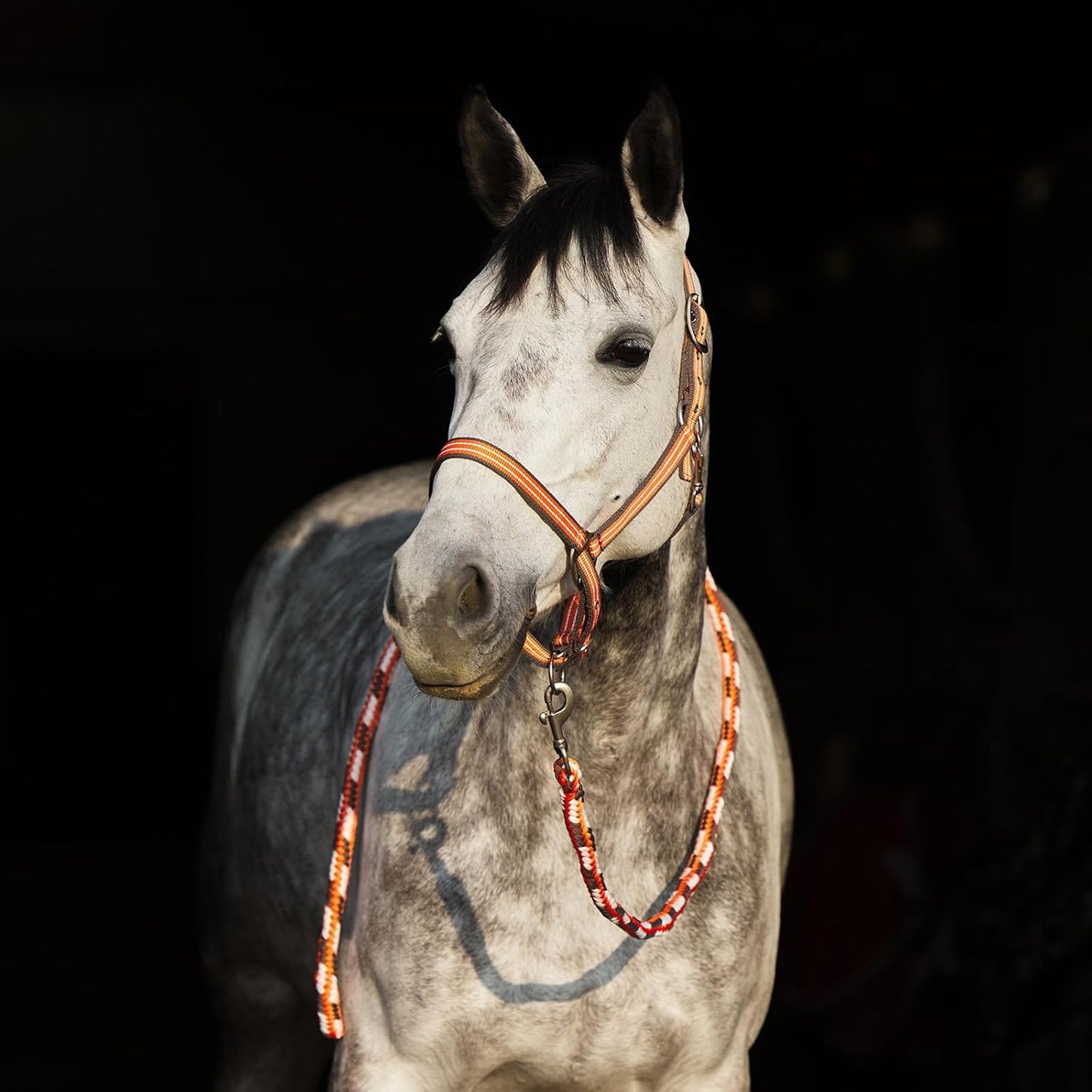 HORZE Adepto Adjustable Horse Halter | Soft, Durable Polyester - Coral Gold - Warmblood