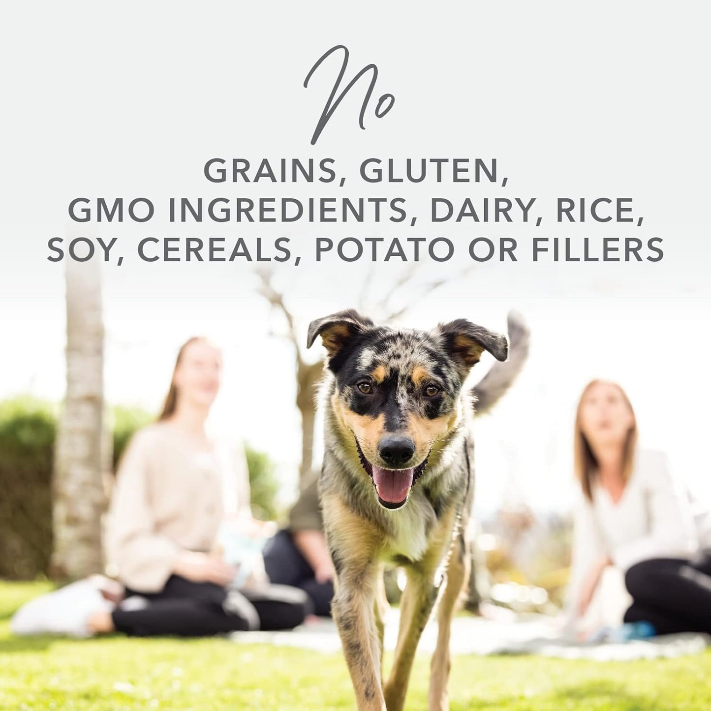 K9 Natural - Grain Free Freeze Dried Dog Food - Lamb, 4lb