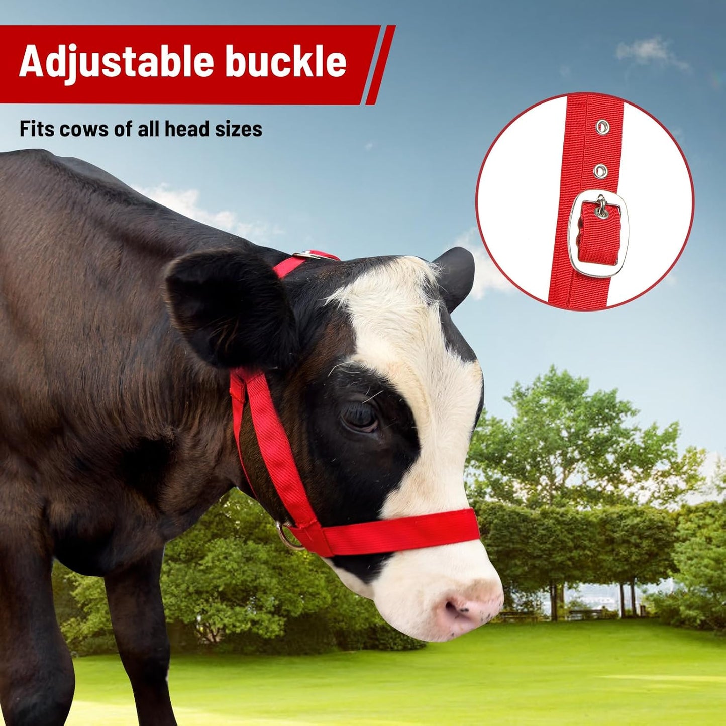 XUANNIAO Easily Adjustable Figure 8 Cow Halter, Double-Ply Premium Livestock Cattle Halters, Colorful Cow Utility Calf Halter with Leading Rope for Miniature Horse Donkey Goat Foal (Large, Black)