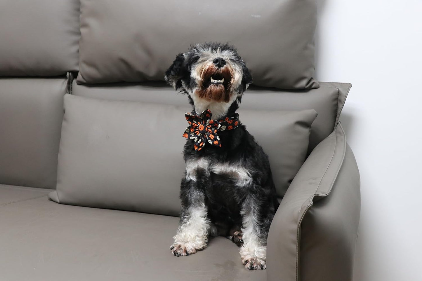 Lionet Paws Flower Dog Collar - Cute Cotton Adjustable Flower Dog Cat Collar with Metal Buckle for Puppy Girl Gift, XS, Neck 8-12in