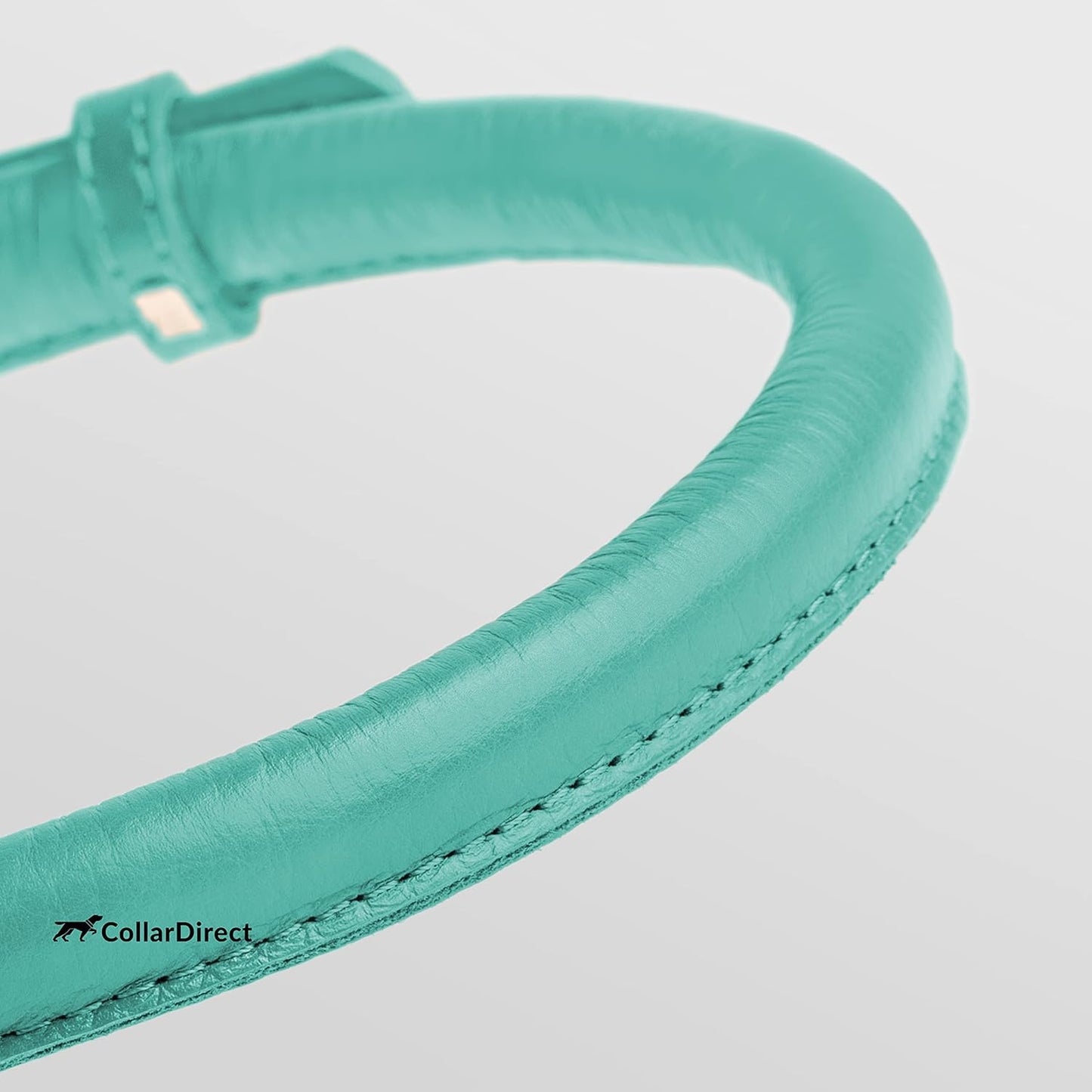 CollarDirect Rolled Leather Dog Collar, Soft Padded Round Puppy Collar, Handmade Genuine Leather Collar Dog Small Large Cat Collars 13 Colors (6-7 Inch, Mint Green Textured)