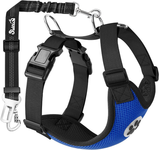 SlowTon Dog Seat Belt Harness for Car, Dog Car Harness Adjustable Mesh Breathable & Dog Seatbelt Safety Tether with Elastic Bungee for Small Medium Large Pets(Blue, Double Clip, M)