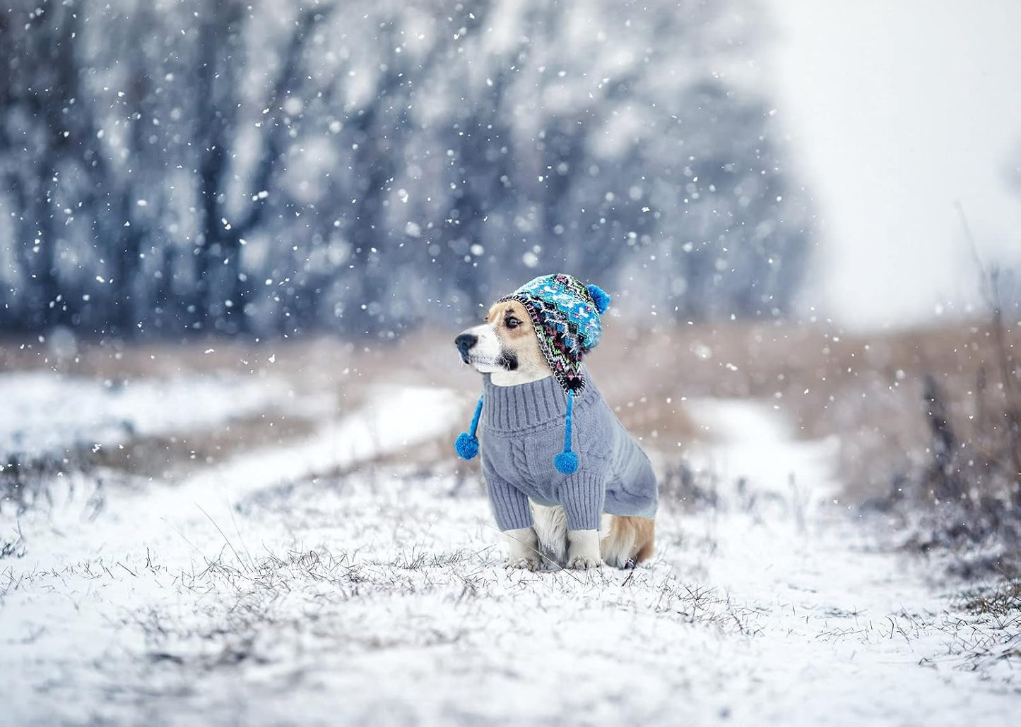 Queenmore Small Dog Pullover Sweater, Cold Weather Cable Knitwear, Classic Turtleneck Thick Warm Clothes for Chihuahua, Bulldog, Dachshund, Pug, Yorkie (Grey, X-Large)