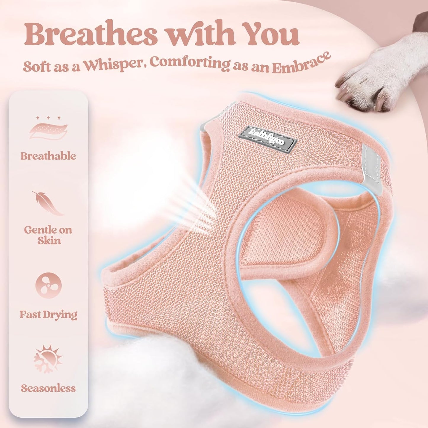 rabbitgoo Dog Harness Small Sized and Leash Set, Step in Soft Light Puppy Vest, Breathable Mesh Pet Harness, Reflective for Safe Outdoor Walking, Pink XS