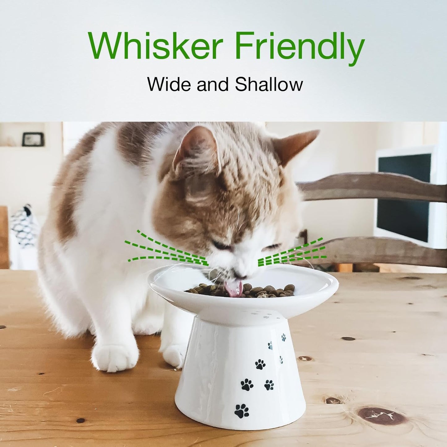 Necoichi Extra Wide Raised Cat Food Bowl, Elevated, Prevent Neck & Whisker Fatigue, Dishwasher and Microwave Safe, No.1 Seller in Japan! (Cat, Extra Wide)