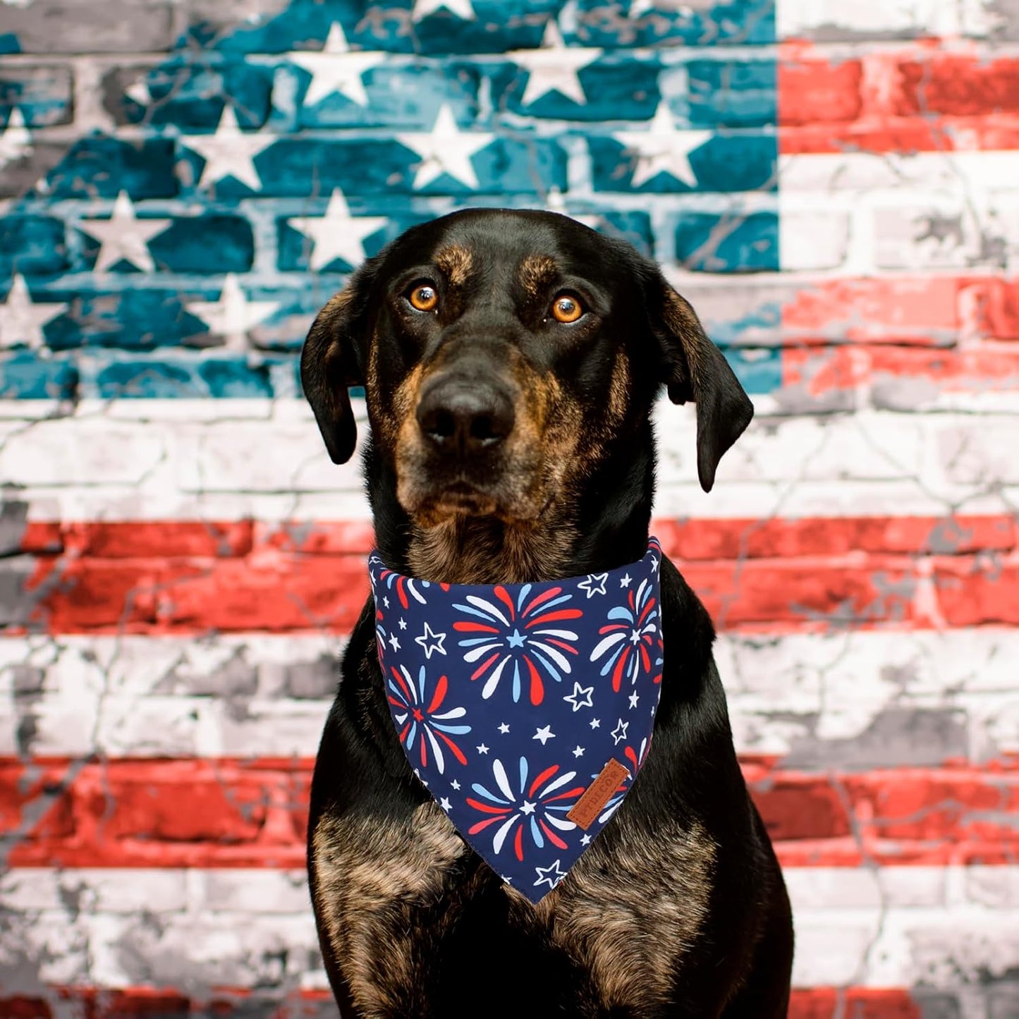 PTDECOR American Flag Dog Bandana 4th of July Dog Scarf Reversible Red Blue Patriotic Bandanas for Medium Large Dogs Pets (Blue & Red, Large)