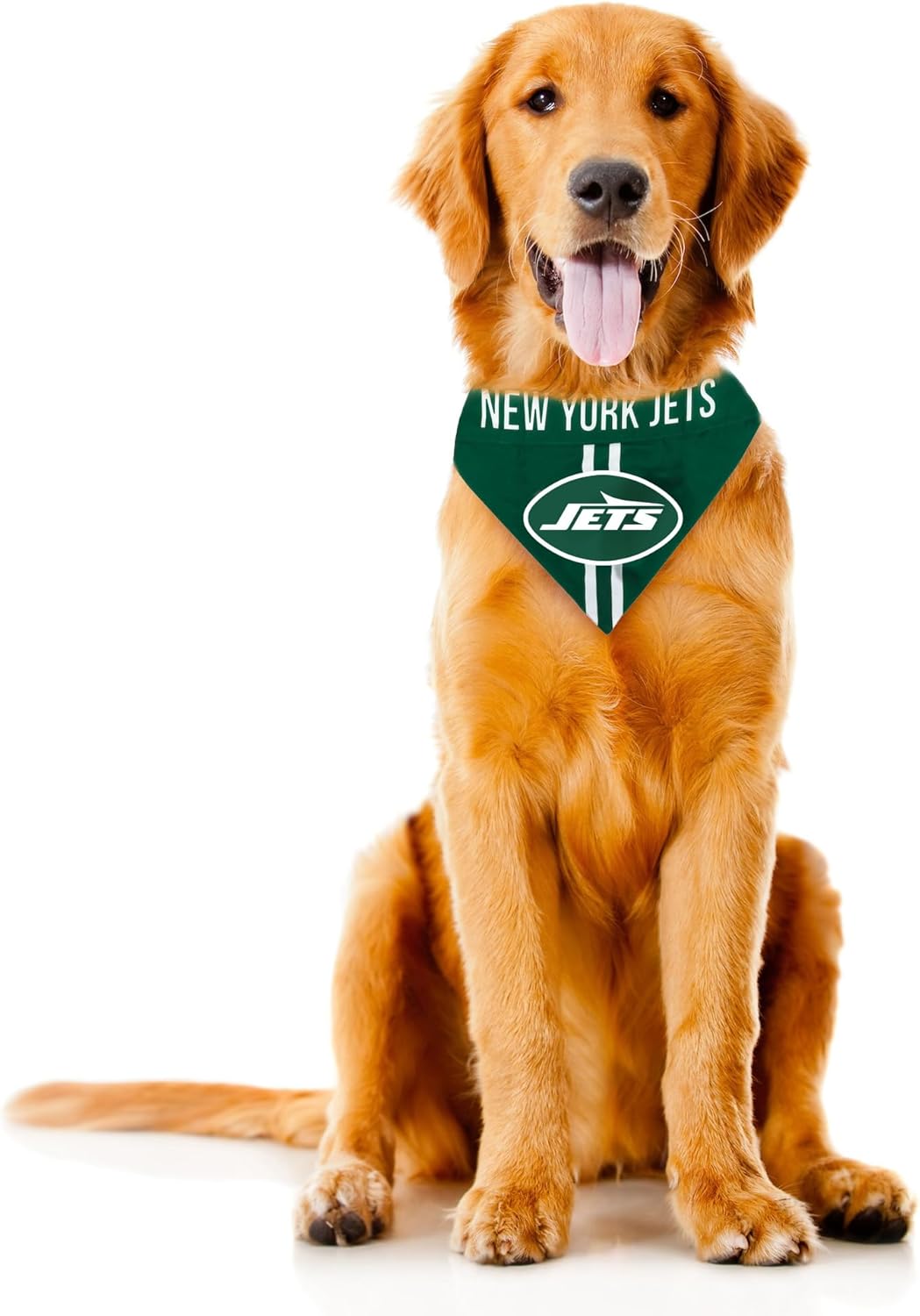 Littlearth NFL Pet Bandana - Reversible