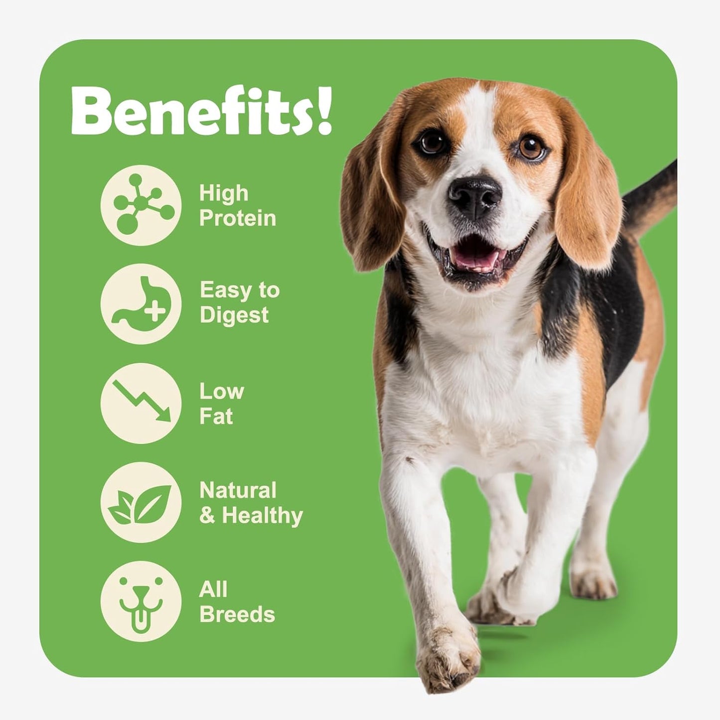 MON2SUN Dog Treats Chicken Jerky, Single-Ingredient, Rawhide-Free, High Protein, Low Fat, Training Treats for Small to Large Dogs, 14.1 oz