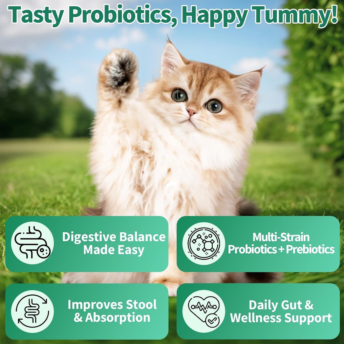 Cat Probiotics Tasty Chews for Digestive & Gut Support - Crunchy & Creamy Texture - Cat Gut Health, Constipation Relief, Healthy Stool, Natural Supplement for Cats, Chicken Flavor - 500 Chews