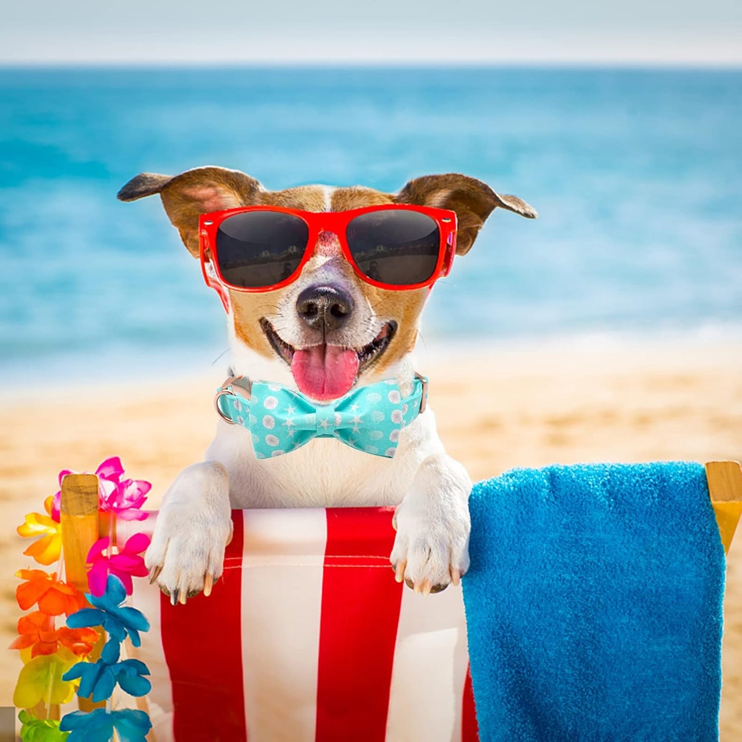 Elegant Little Tail Bowtie Dog Collar for Small to Large Dogs