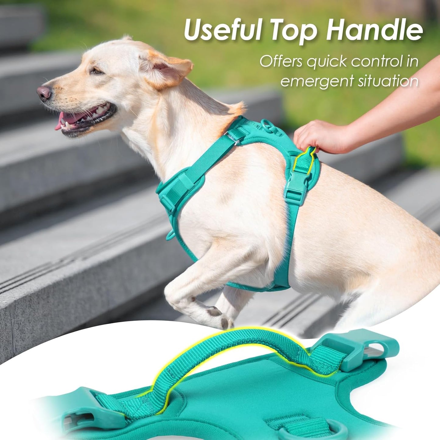 No Pull Dog Harness, Puppy Vest with Front Clip for Small Medium Large Sized Dog(MARRS Green,S)