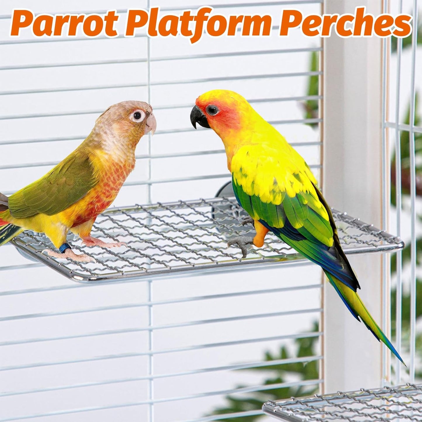 BNOSDM 2 Pack Bird Perch Platform 11x7in Stainless Steel Birds Perches Parrot Shelf Training Stand Small Animals Cage Accessories for Parakeets, Budgies, Conures, Cockatiels, Lovebirds (XL)